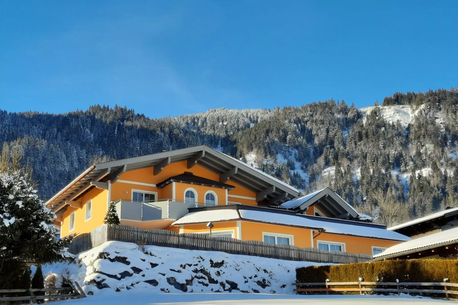 Wengerwald-View winter