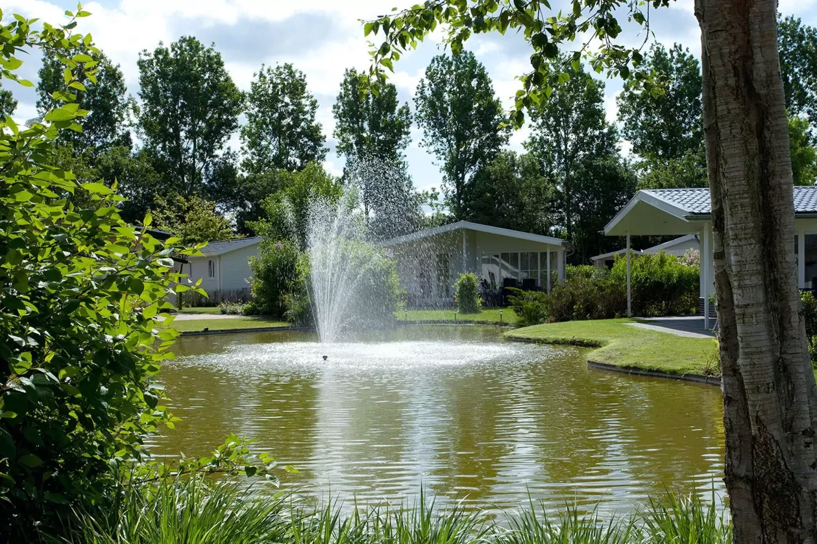 Vakantiepark Molengroet 4-Areas summer 1km
