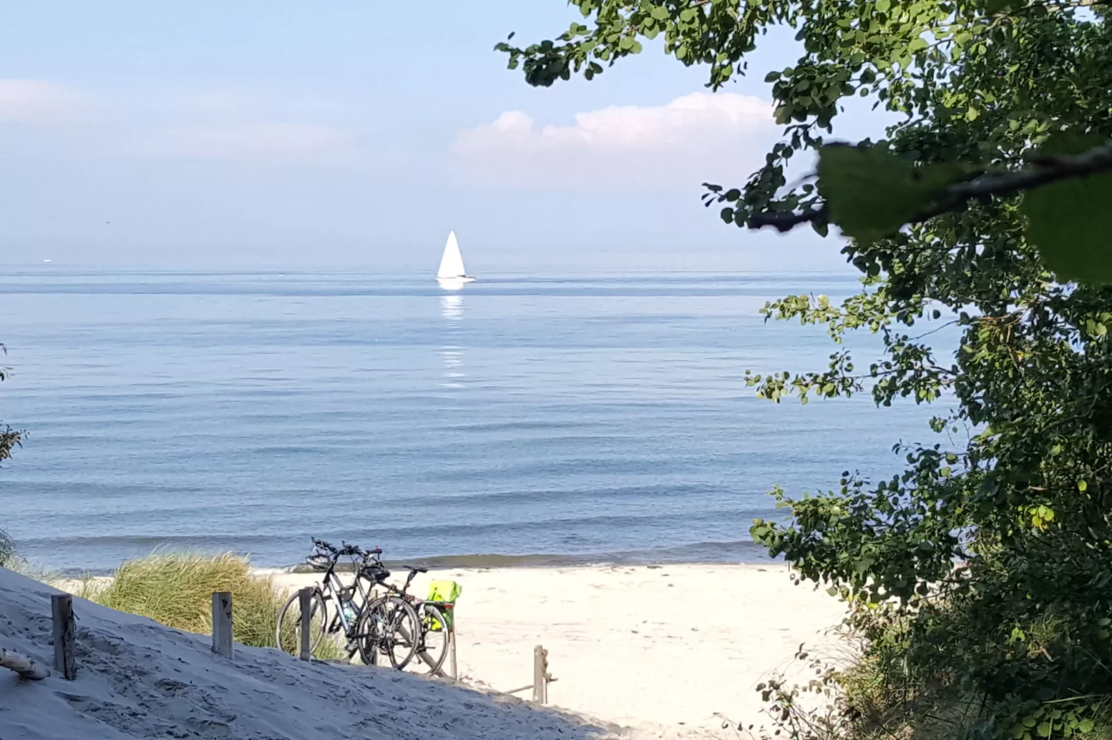 Ferienhaus Sternchen - Insel Rügen-Areas summer 5km