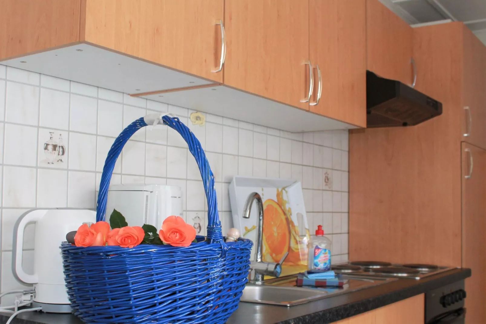 Das DarßHaus mit Kamin und Garten-Kitchen