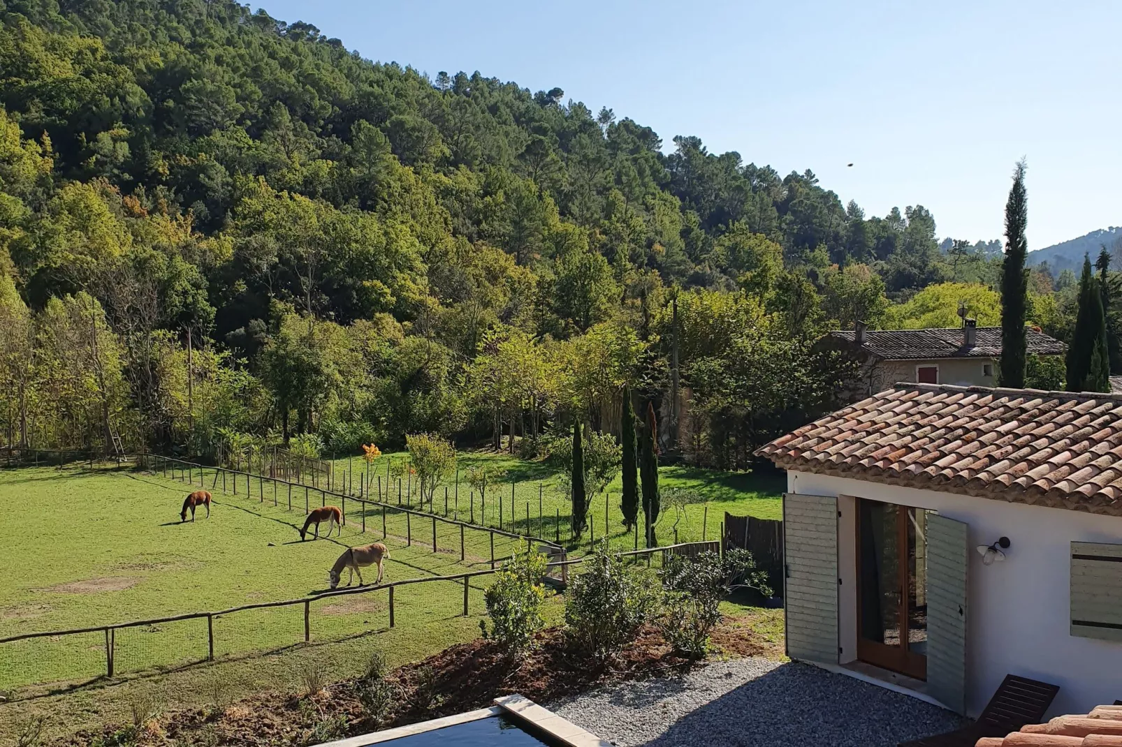 Villa Mopane-View summer