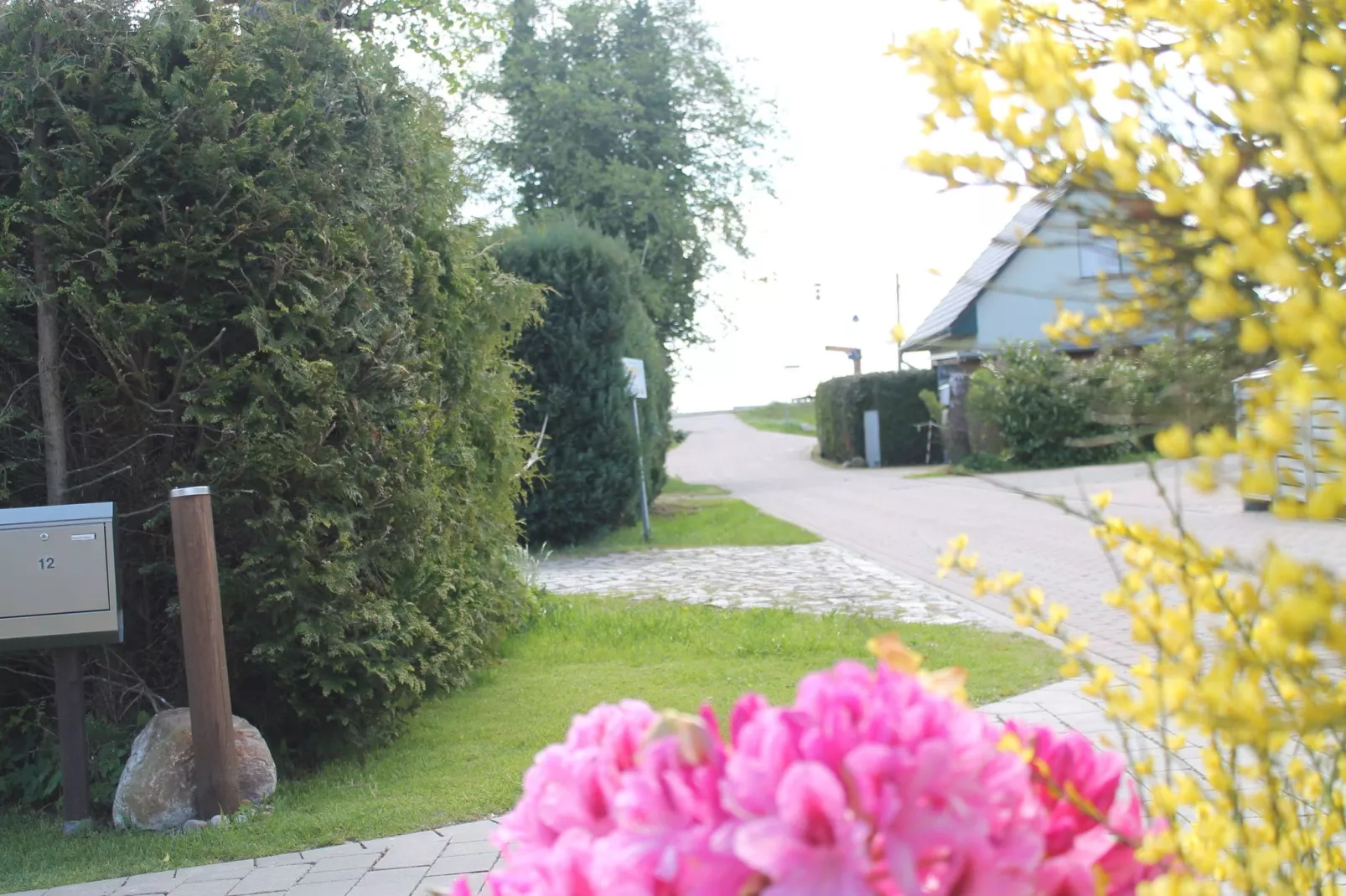 Das DarßHaus mit Kamin und Garten-Areas summer 1km