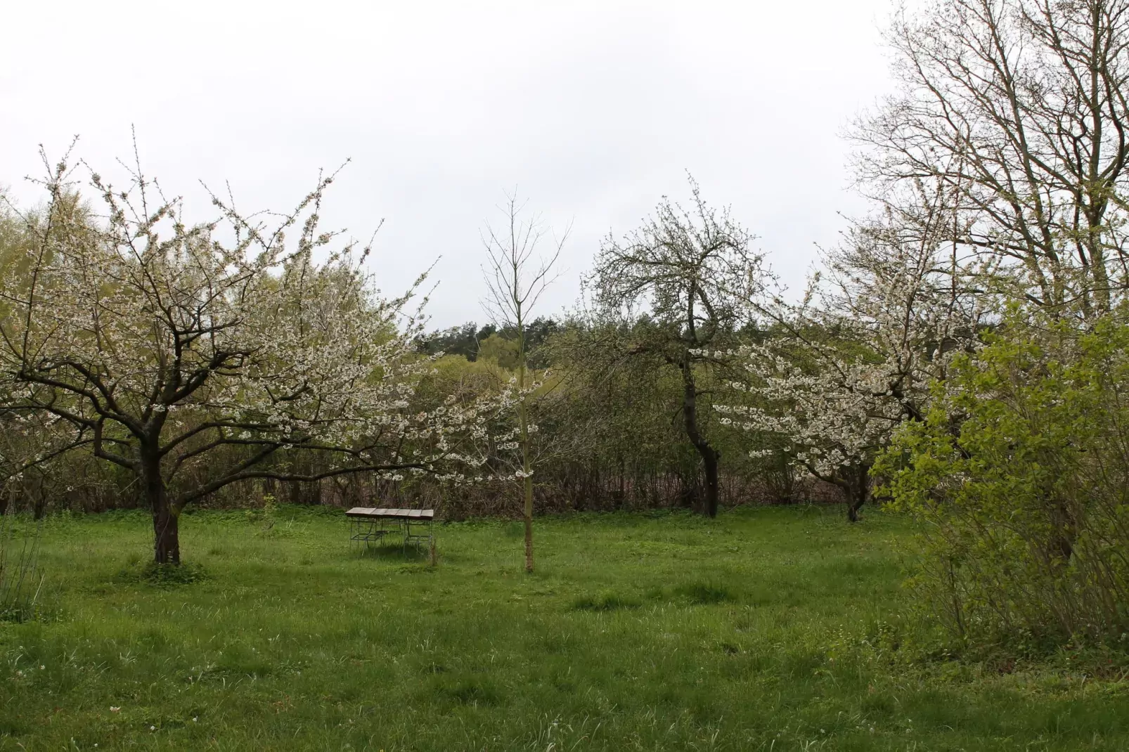Landlust pur 1-Jardin d'été