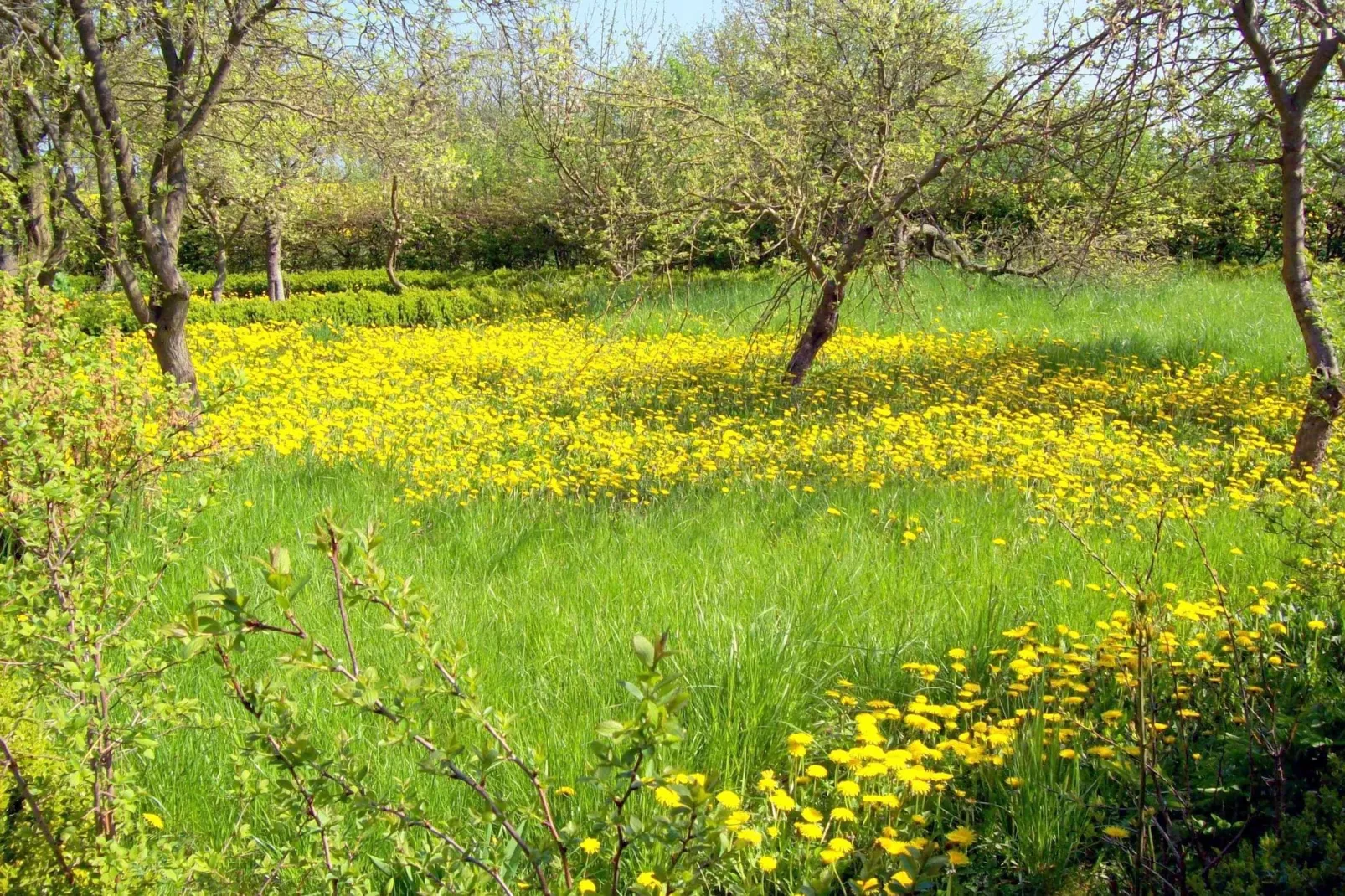 Landlust pur 1-Jardin d'été