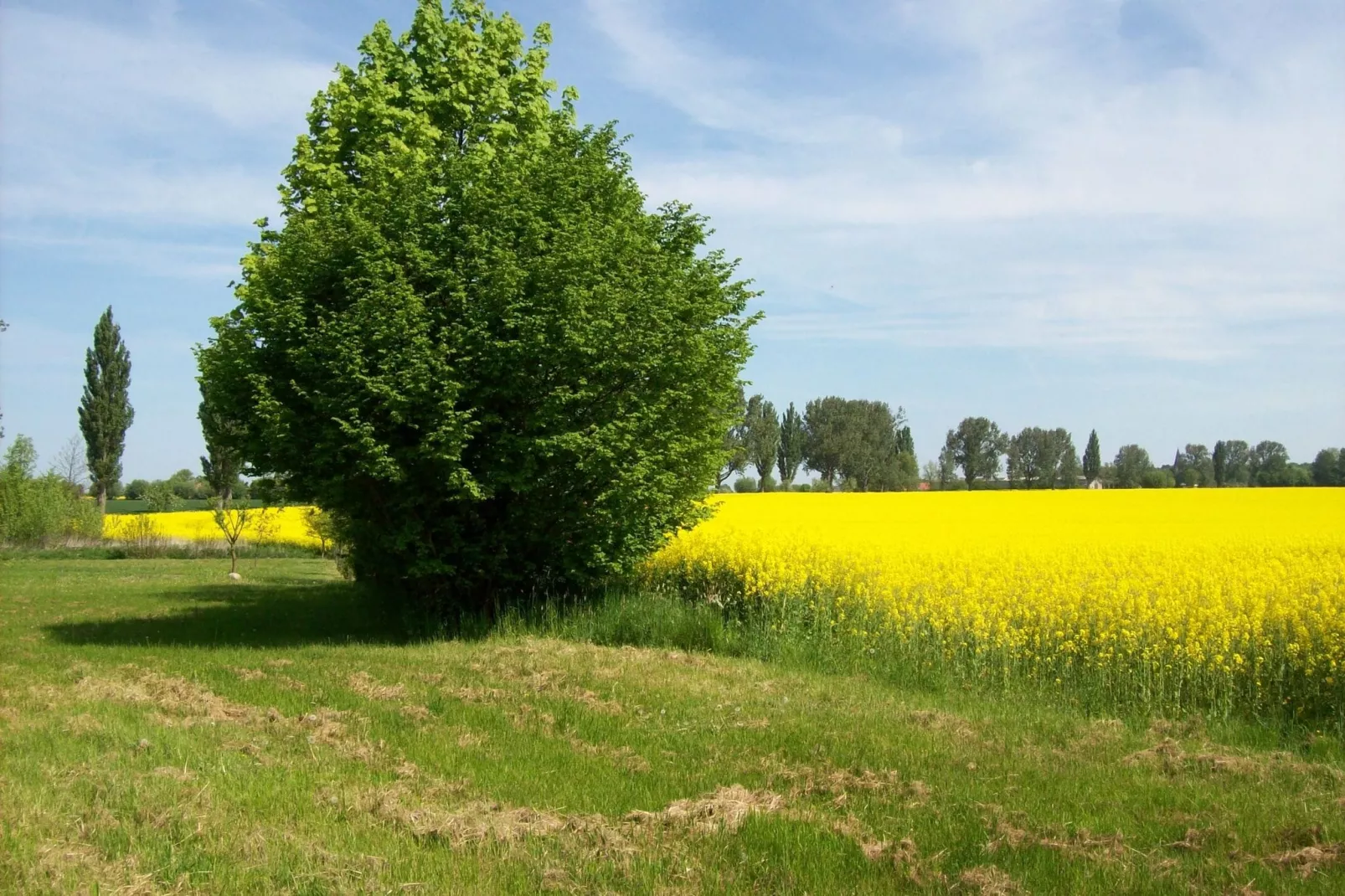 Landlust pur 1-Zones d'été à 5 km