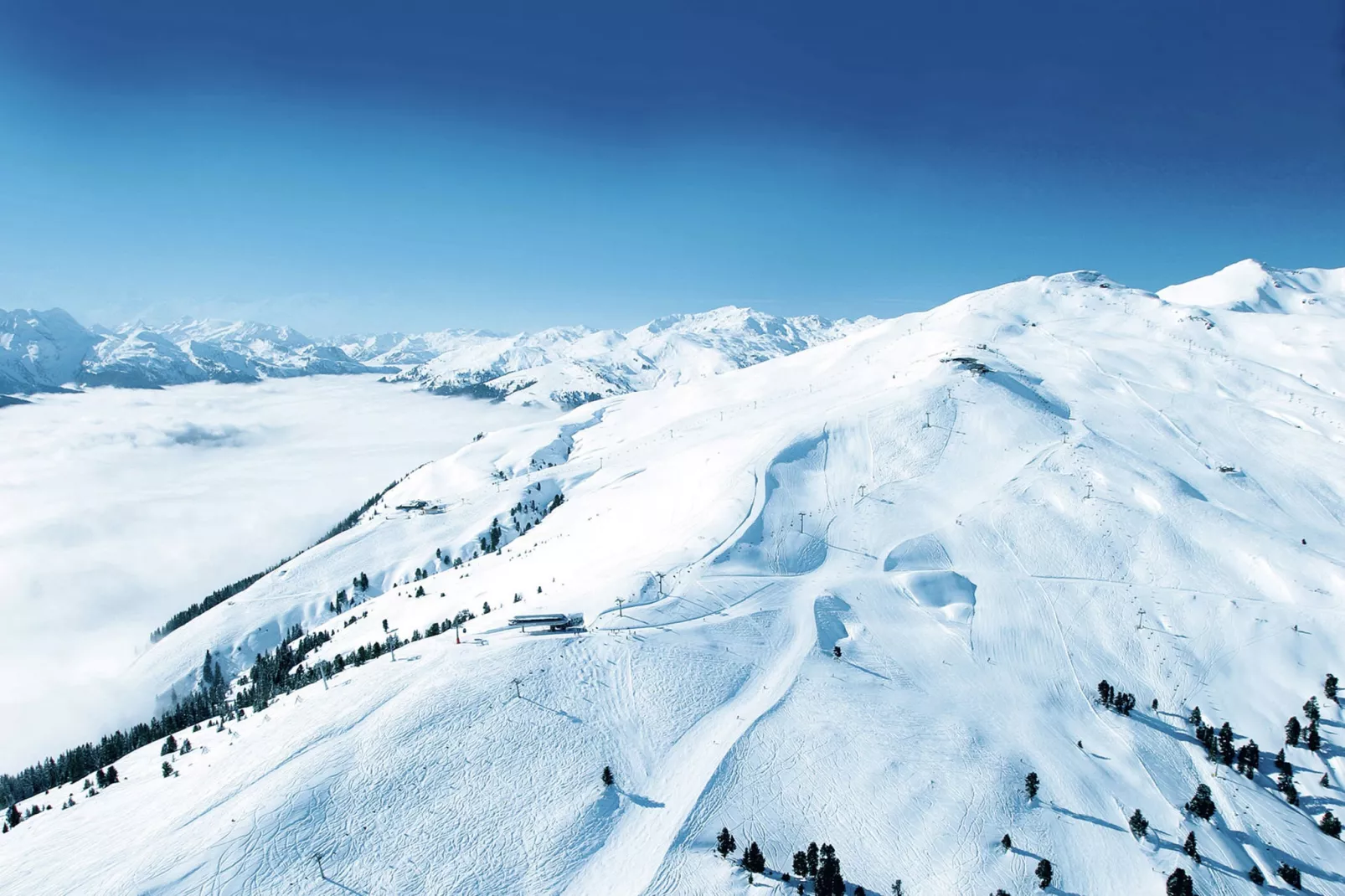 Reisrachhof - App 1-Area winter 20km