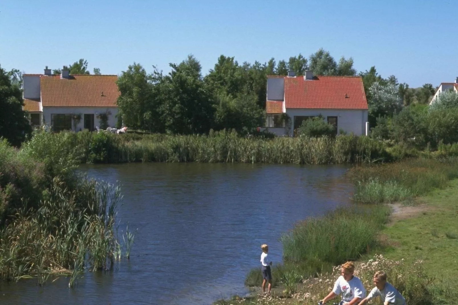 Vakantiepark de Krim 2-Aussicht Sommer