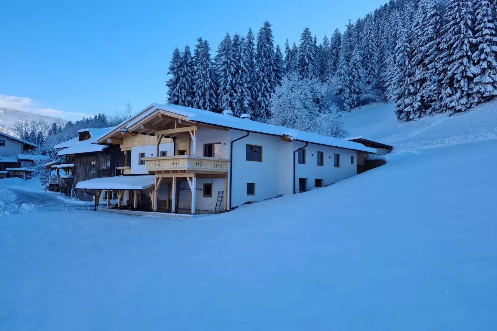 Reisrachhof - App 1-Exterior winter