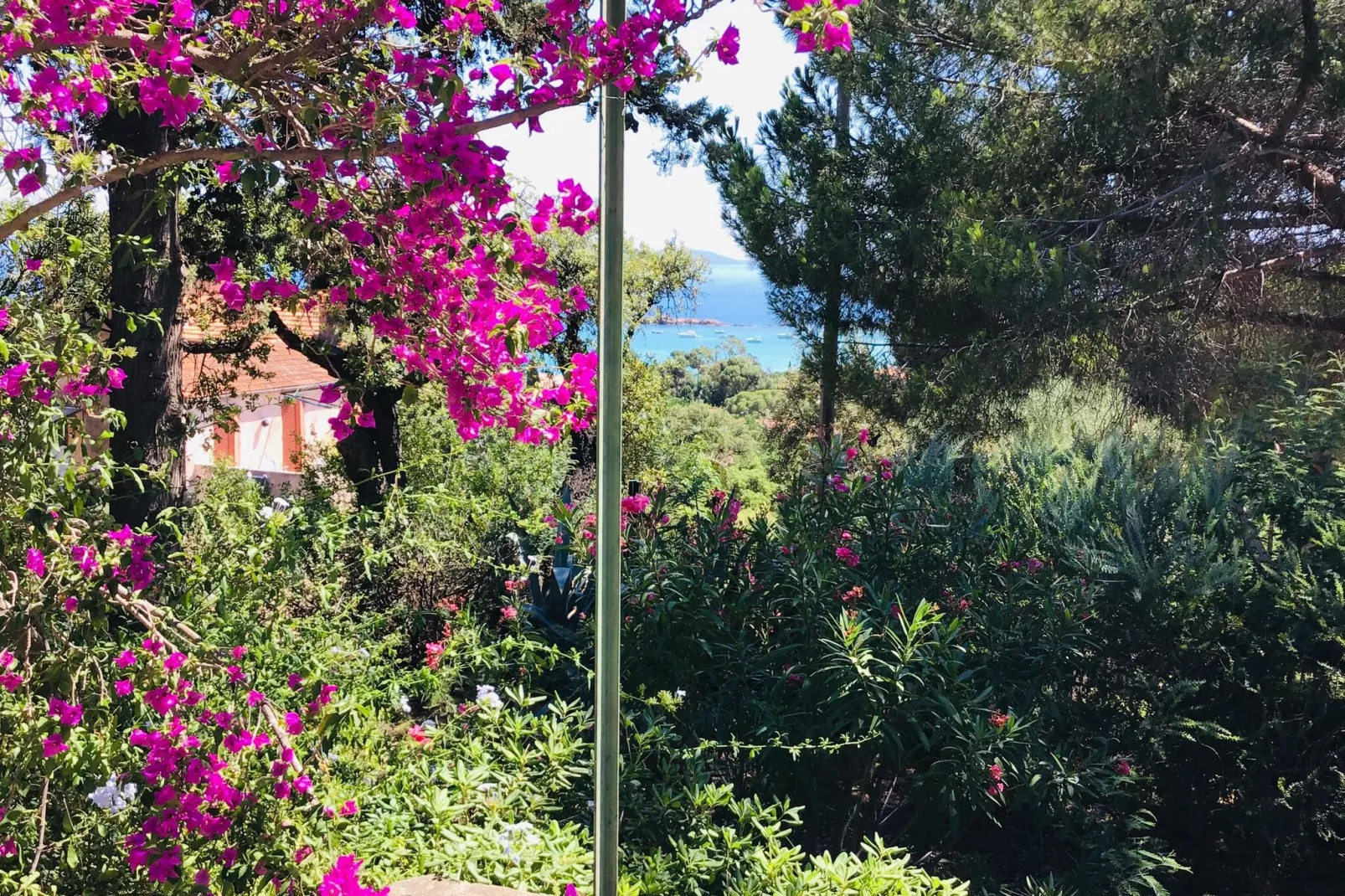 Domaine Anoutous Perry-View summer