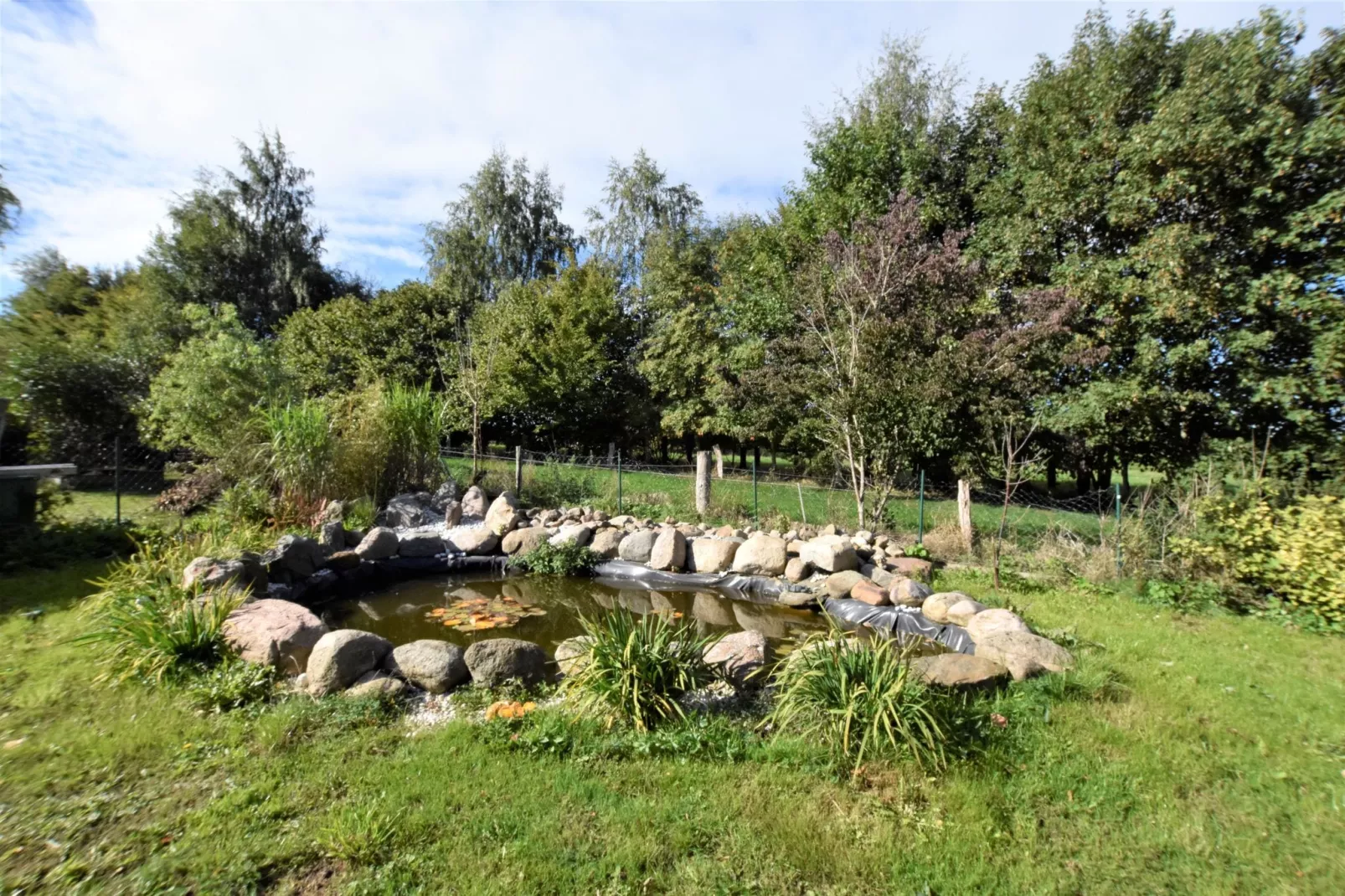 Idylle am Schluensee-Gardens summer