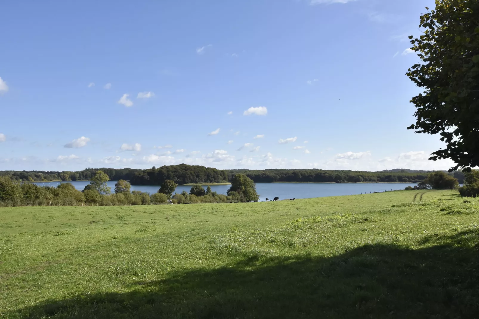 Idylle am Schluensee-Areas summer 1km