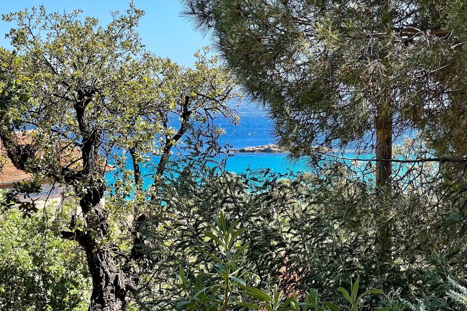 Domaine Anoutous Perry-View summer