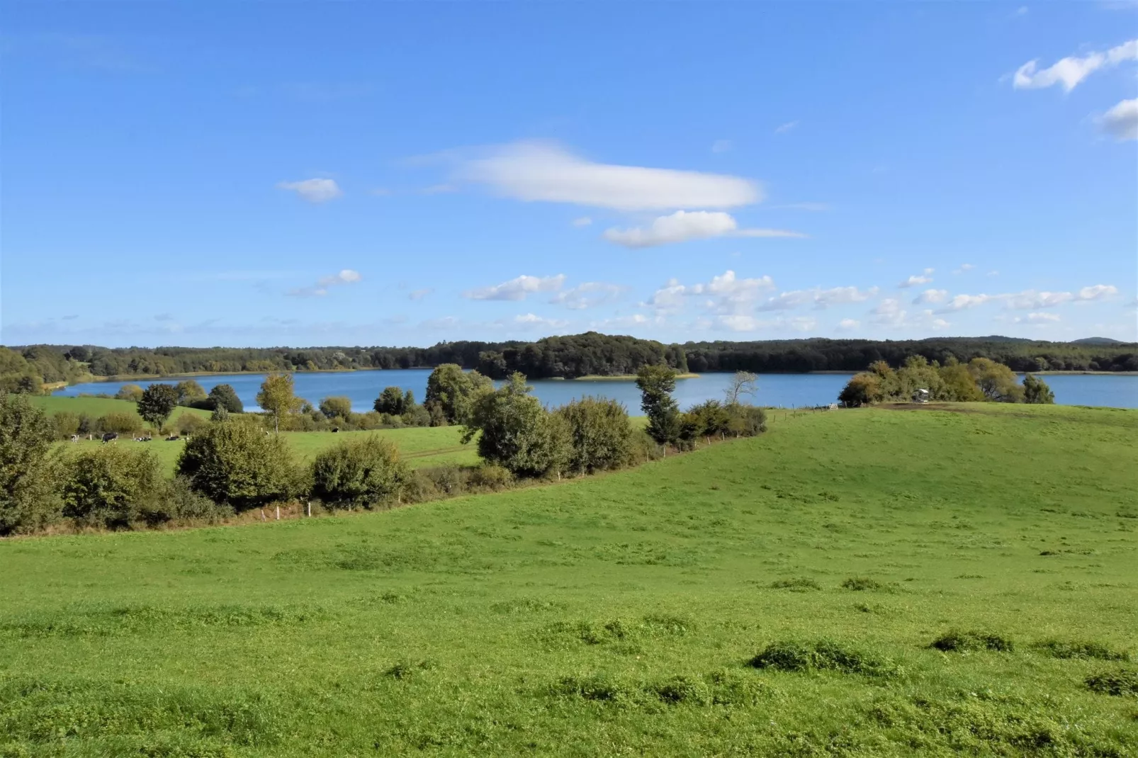 Idylle am Schluensee-Areas summer 1km