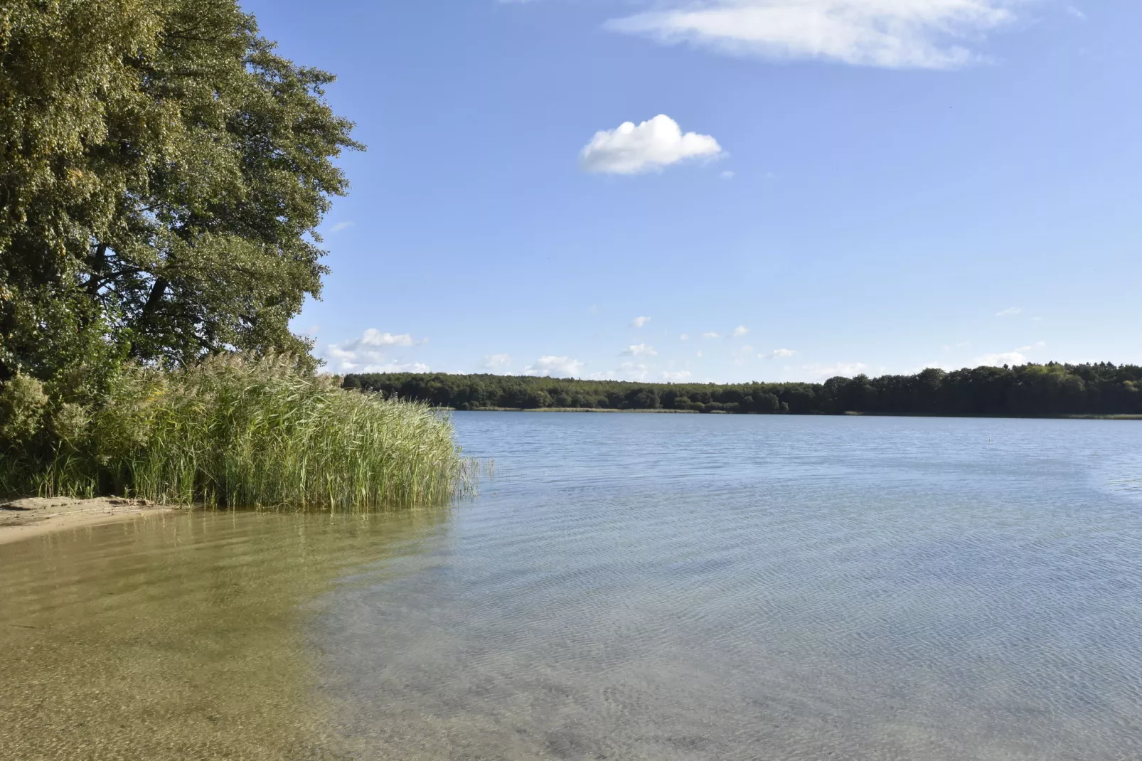 Idylle am Schluensee-Areas summer 5km