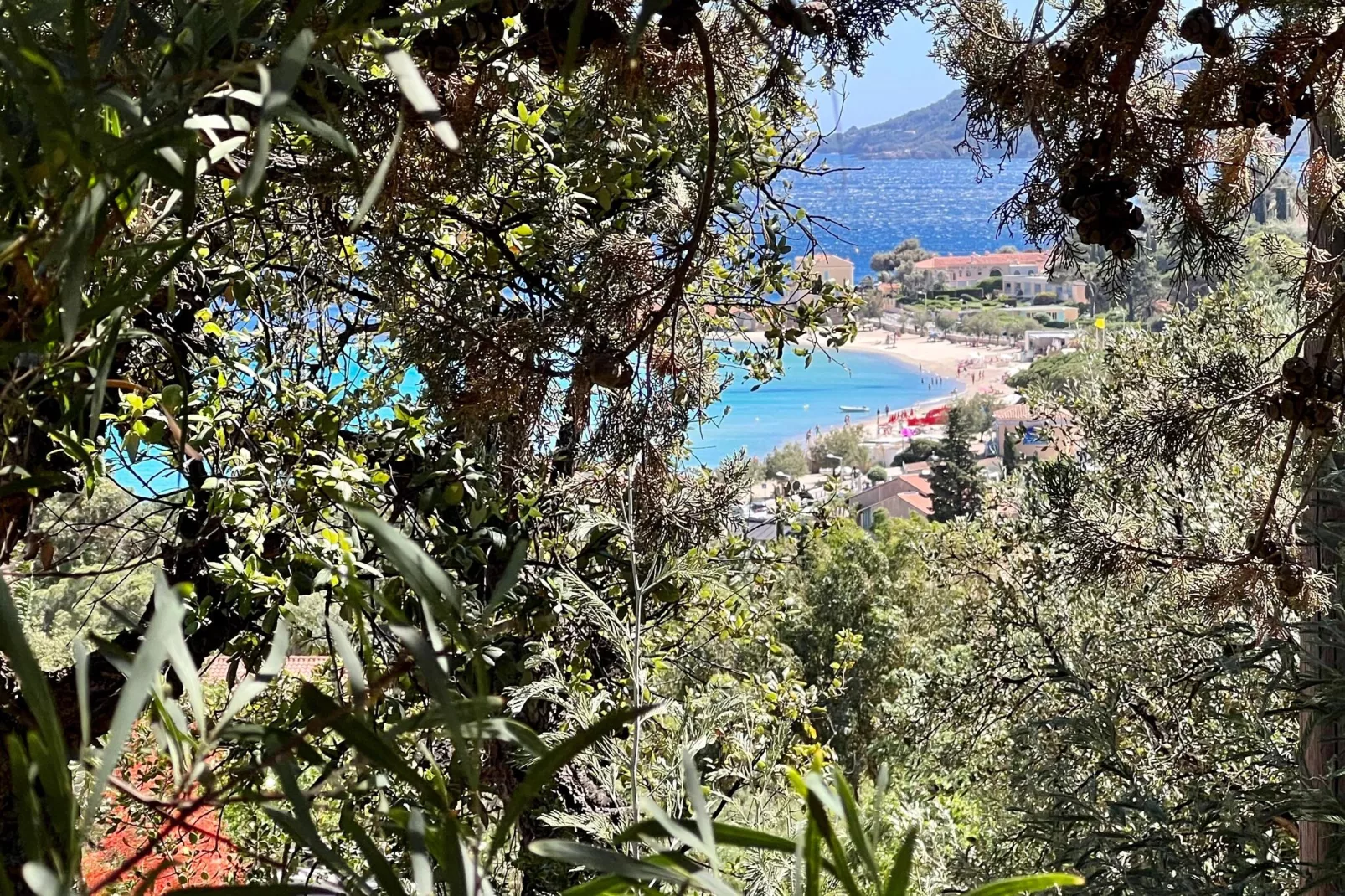 Domaine Anoutous Perry-View summer