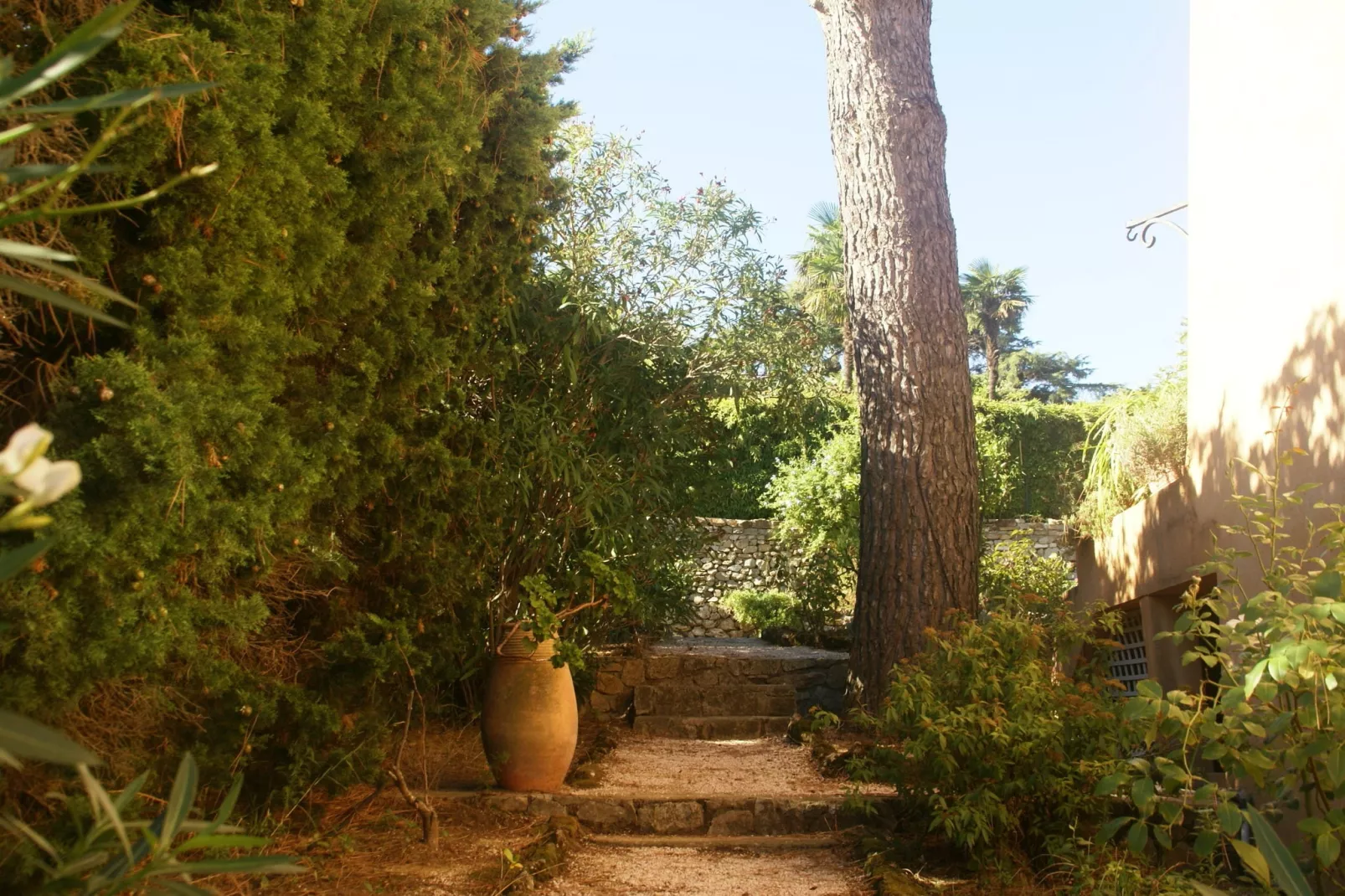 Villa Saint Tropez-Gardens summer