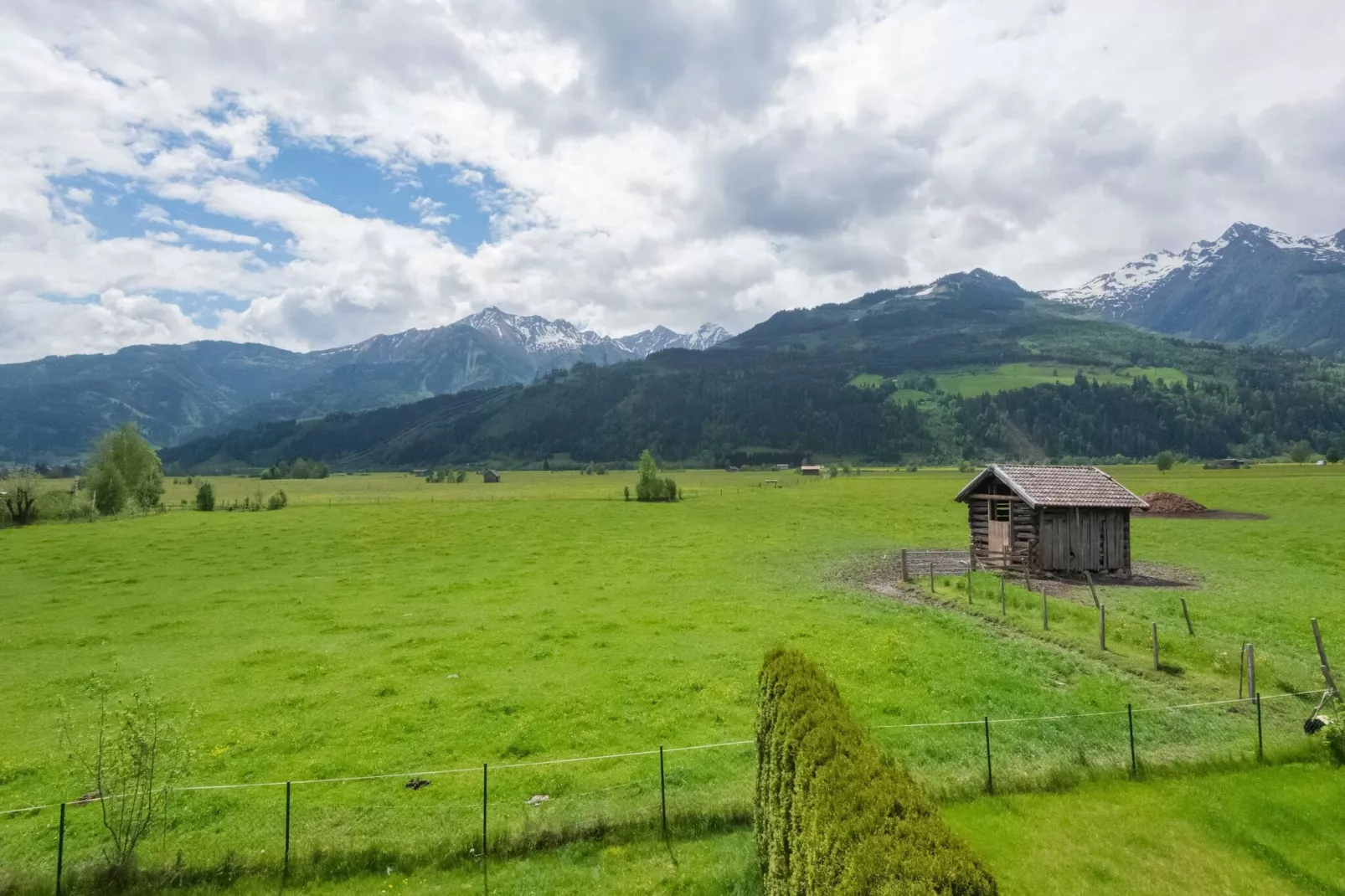 Weigelt-Aussicht Sommer