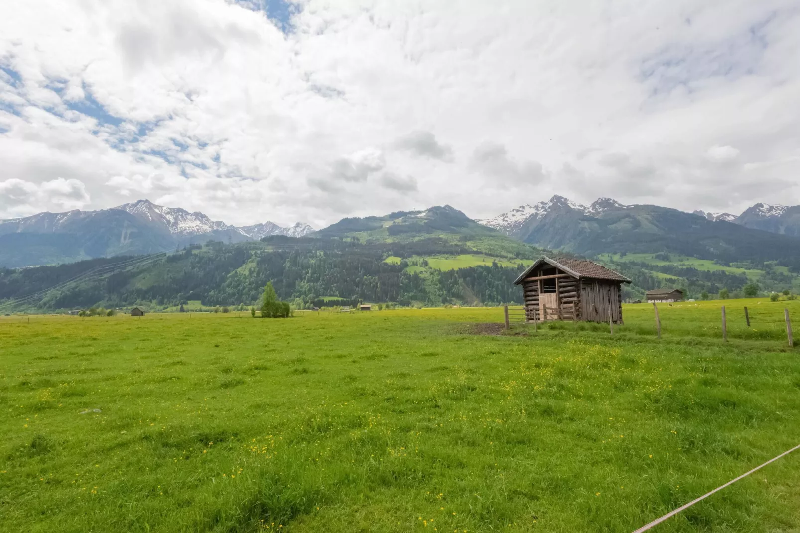 Weigelt-Gebiete Sommer 5 km