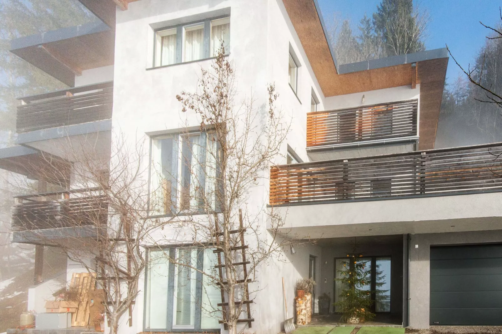 Hollaus 1-Exterior winter