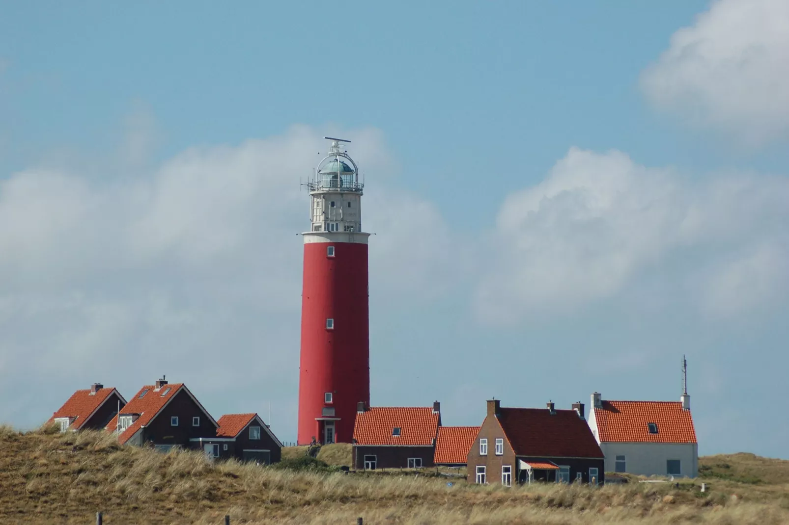 Kustpark Texel 4-Areas summer 1km