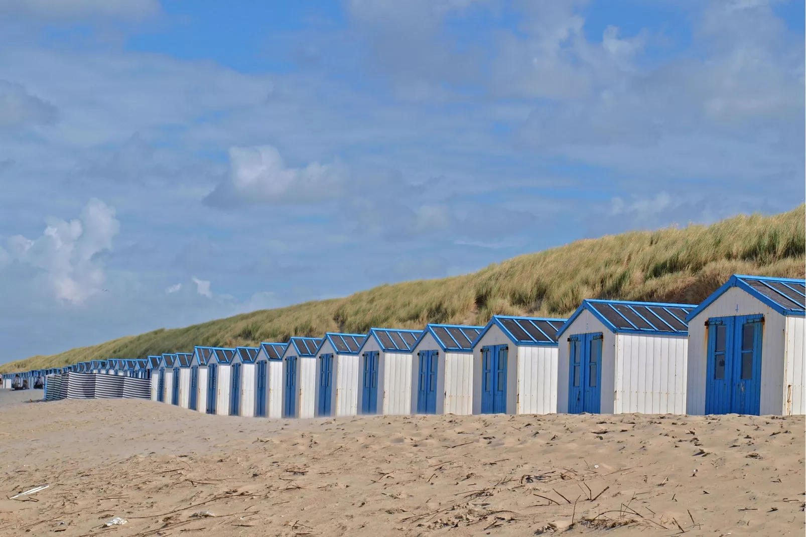 Kustpark Texel 4-Areas summer 5km