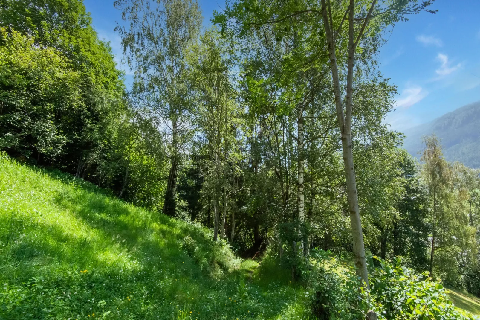 Apartment Heini Haus-Gebiete Sommer 1 km