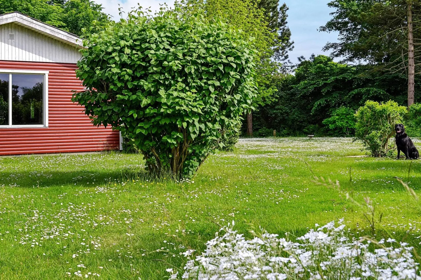 Modernes Refugium in Klitgards-By Traum-Außenbereich