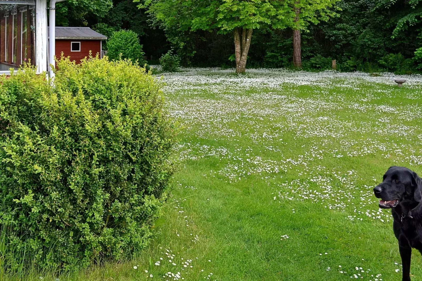 Modernes Refugium in Klitgards-By Traum-Außenbereich