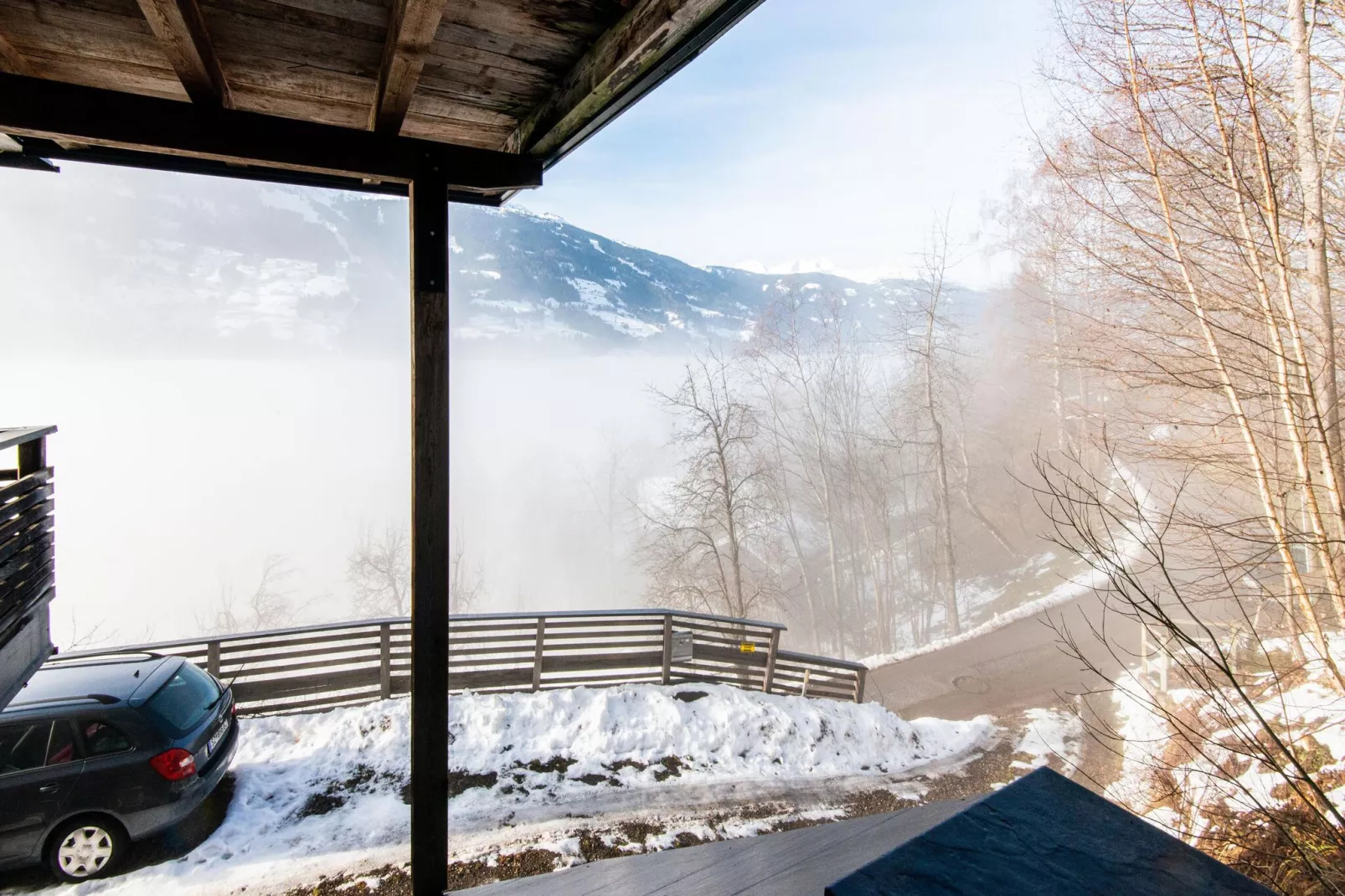 Hollaus 1-View winter