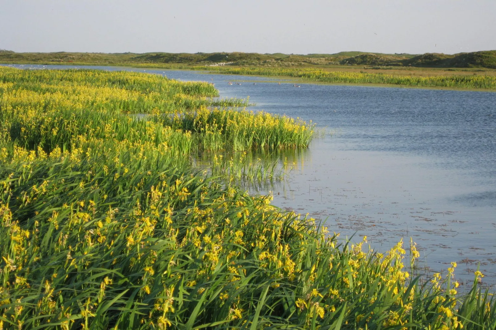 't Hoogelandt 4-Areas summer 5km