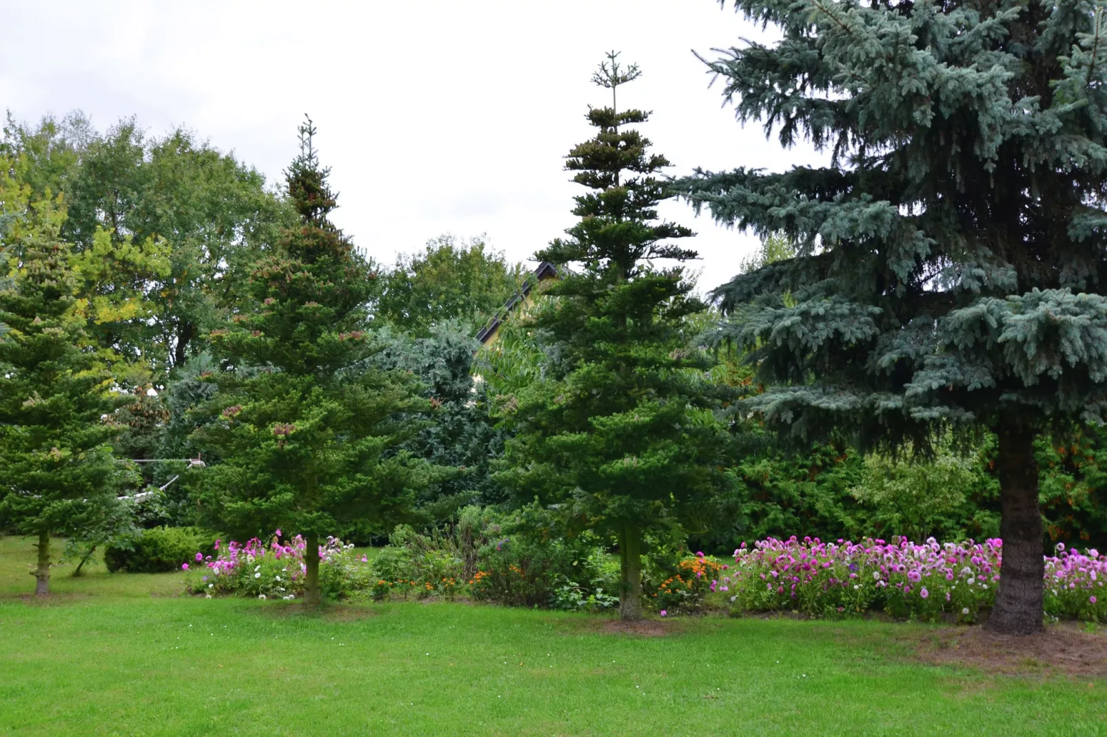 Ferienhaus Lausch-Gardens summer
