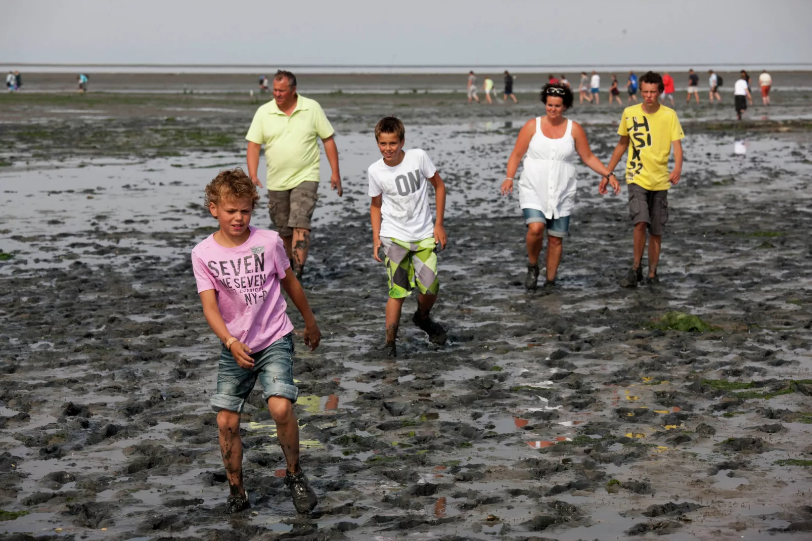 't Hoogelandt 5-Areas summer 5km