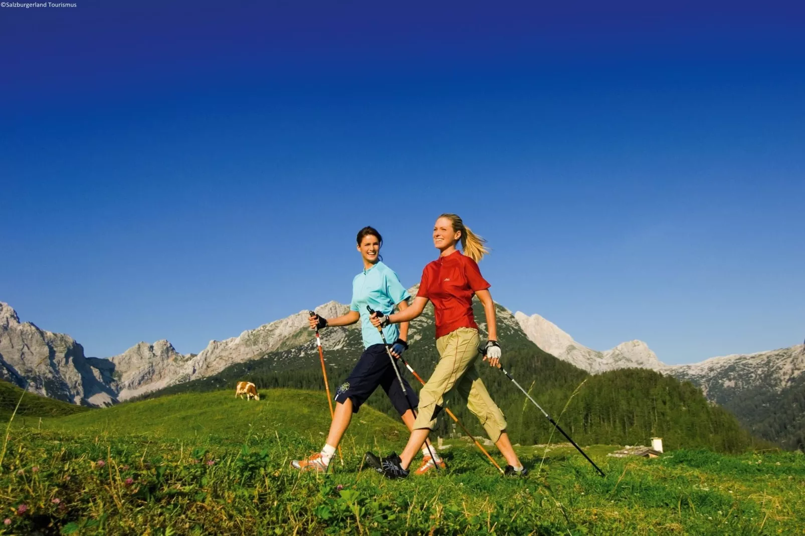 Wildkogel Appartement A-Areas summer 1km