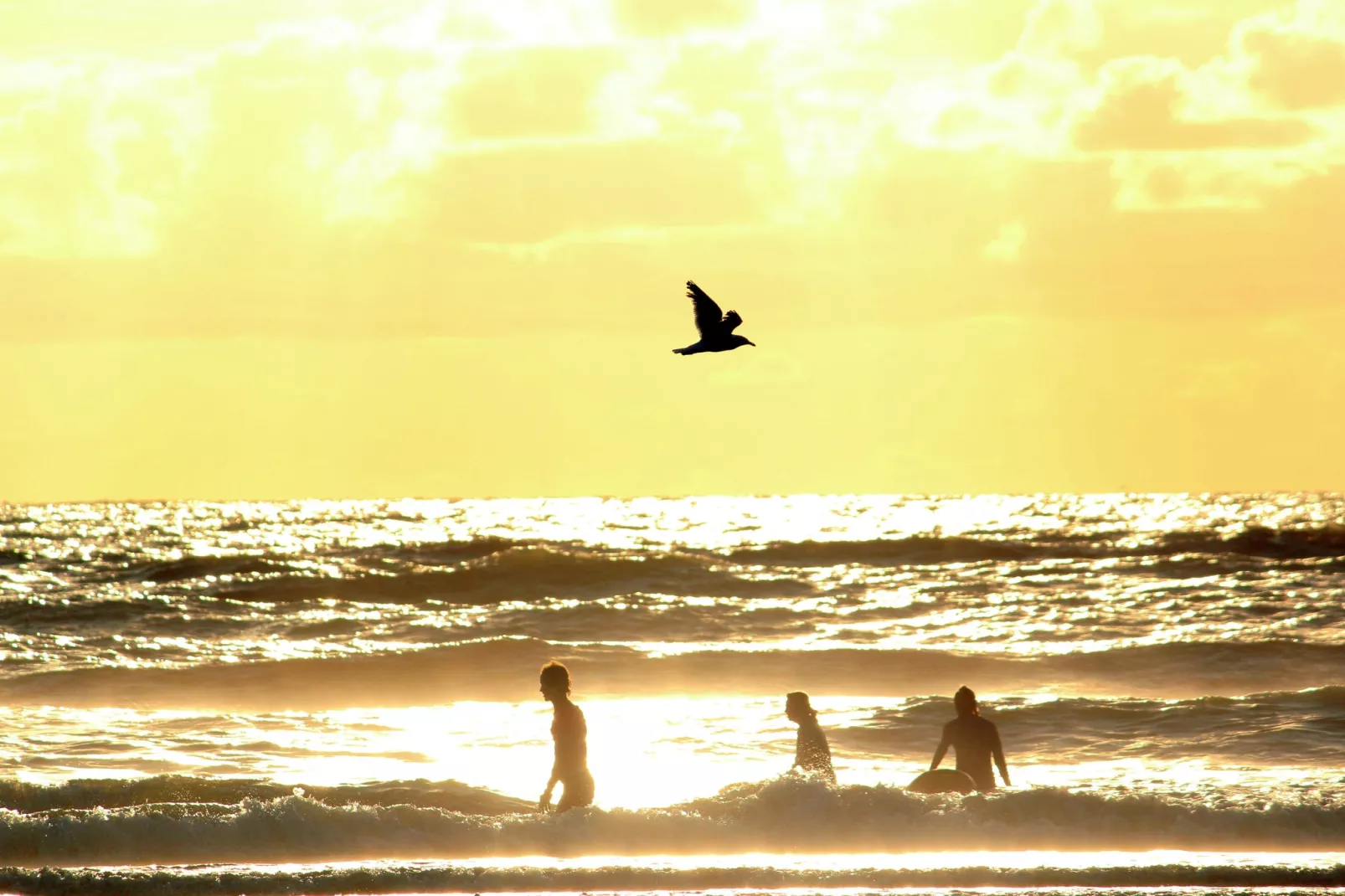 Sea Lodges Zandvoort 1-Areas summer 1km