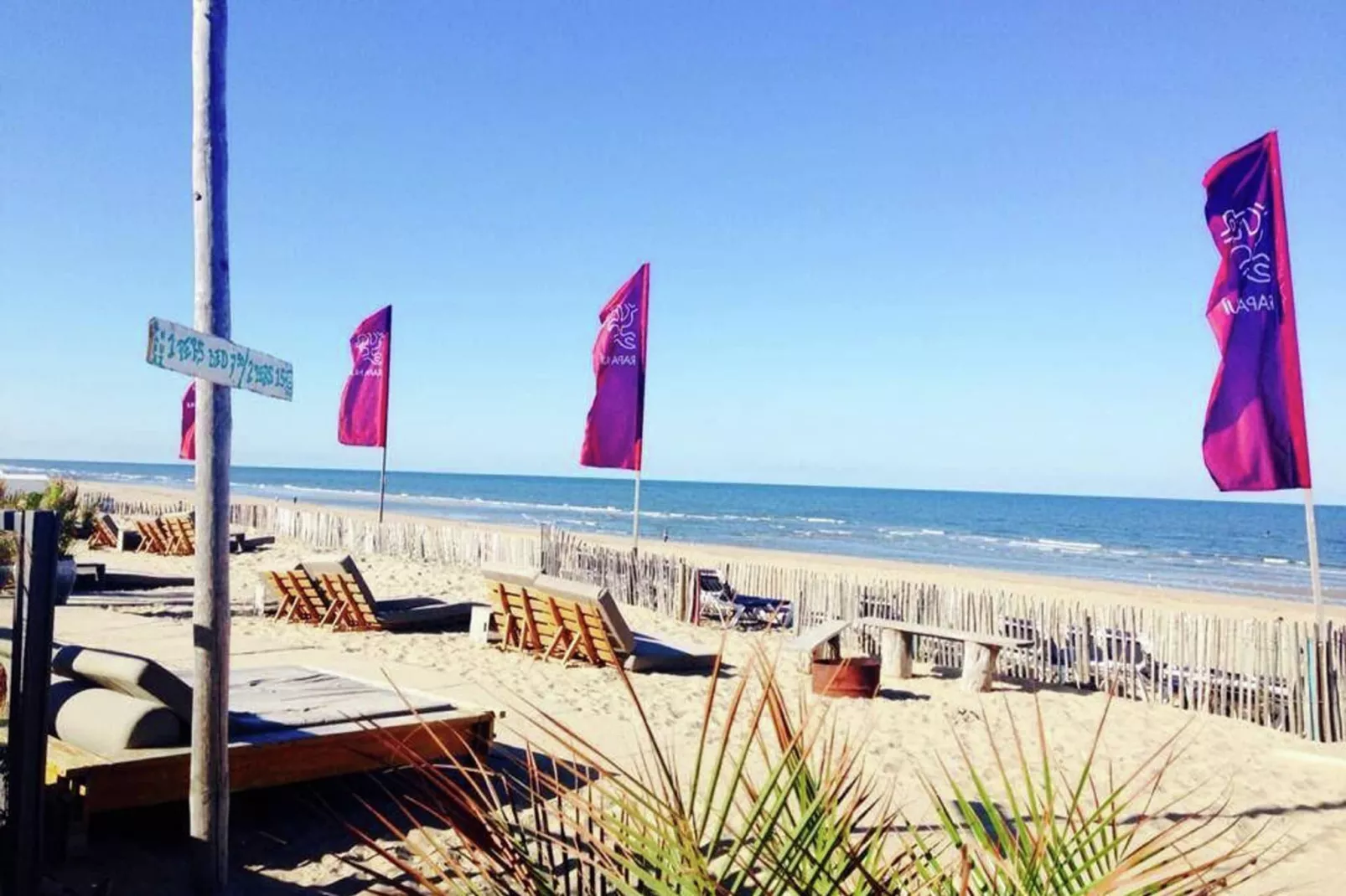 Sea Lodges Zandvoort 1-Areas summer 1km