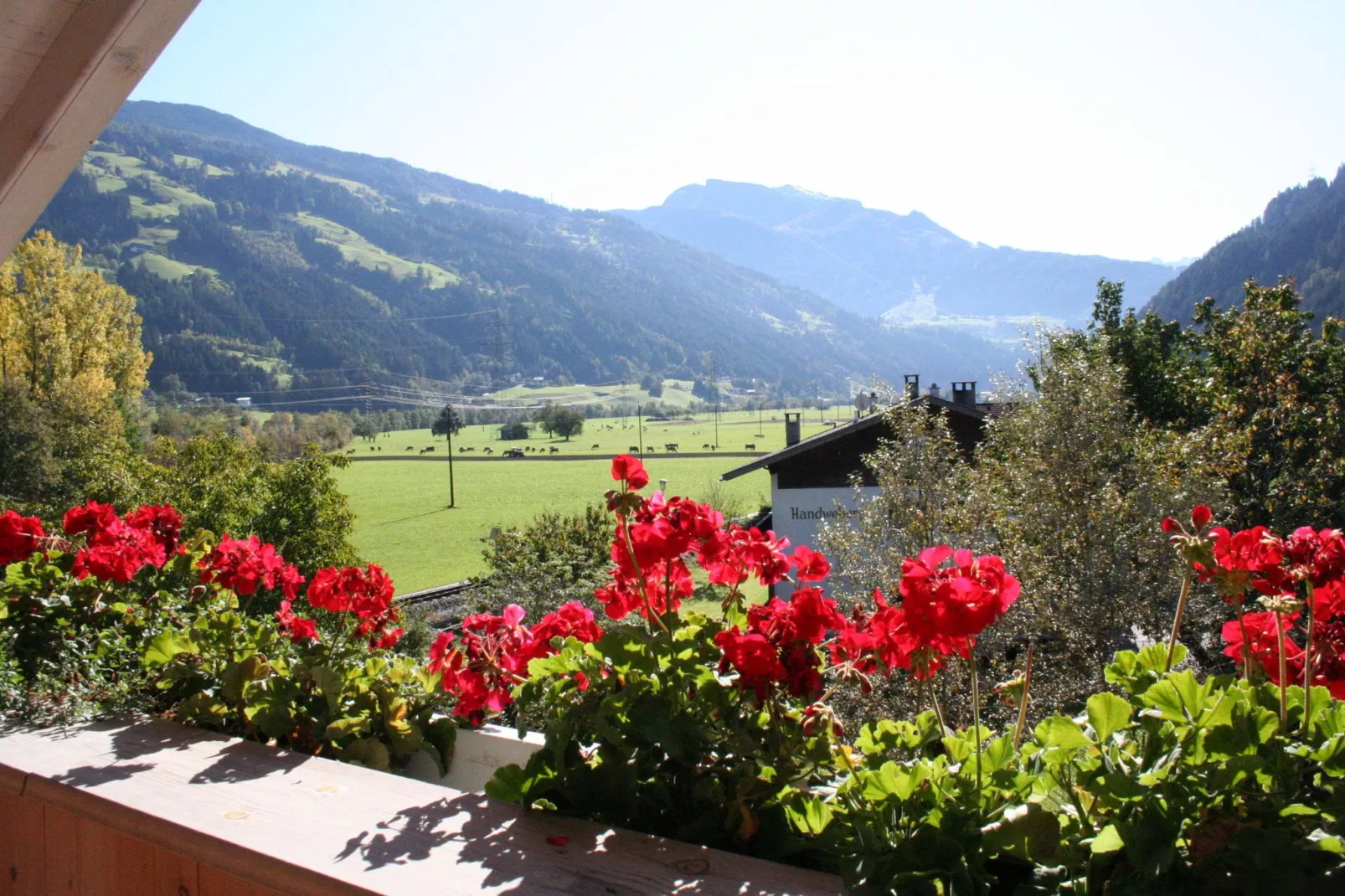 Lanthaler-Terrace balcony