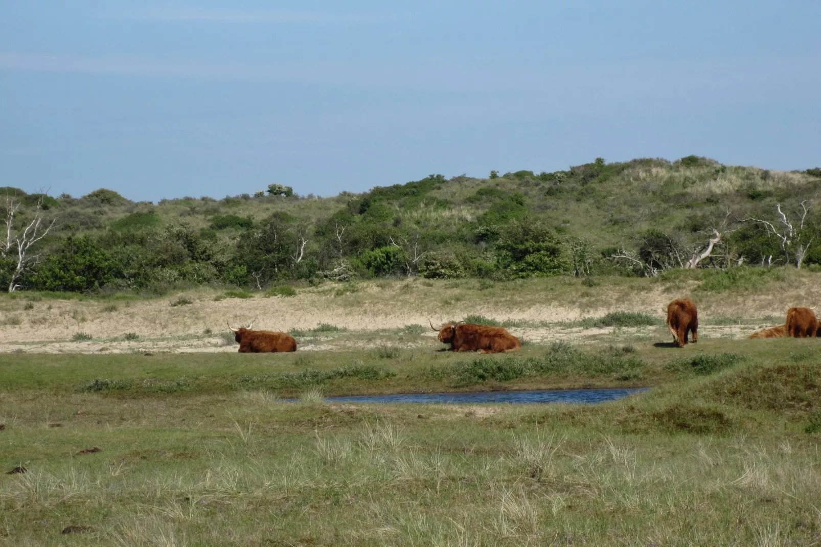 Sea Lodges Zandvoort 9-Areas summer 5km