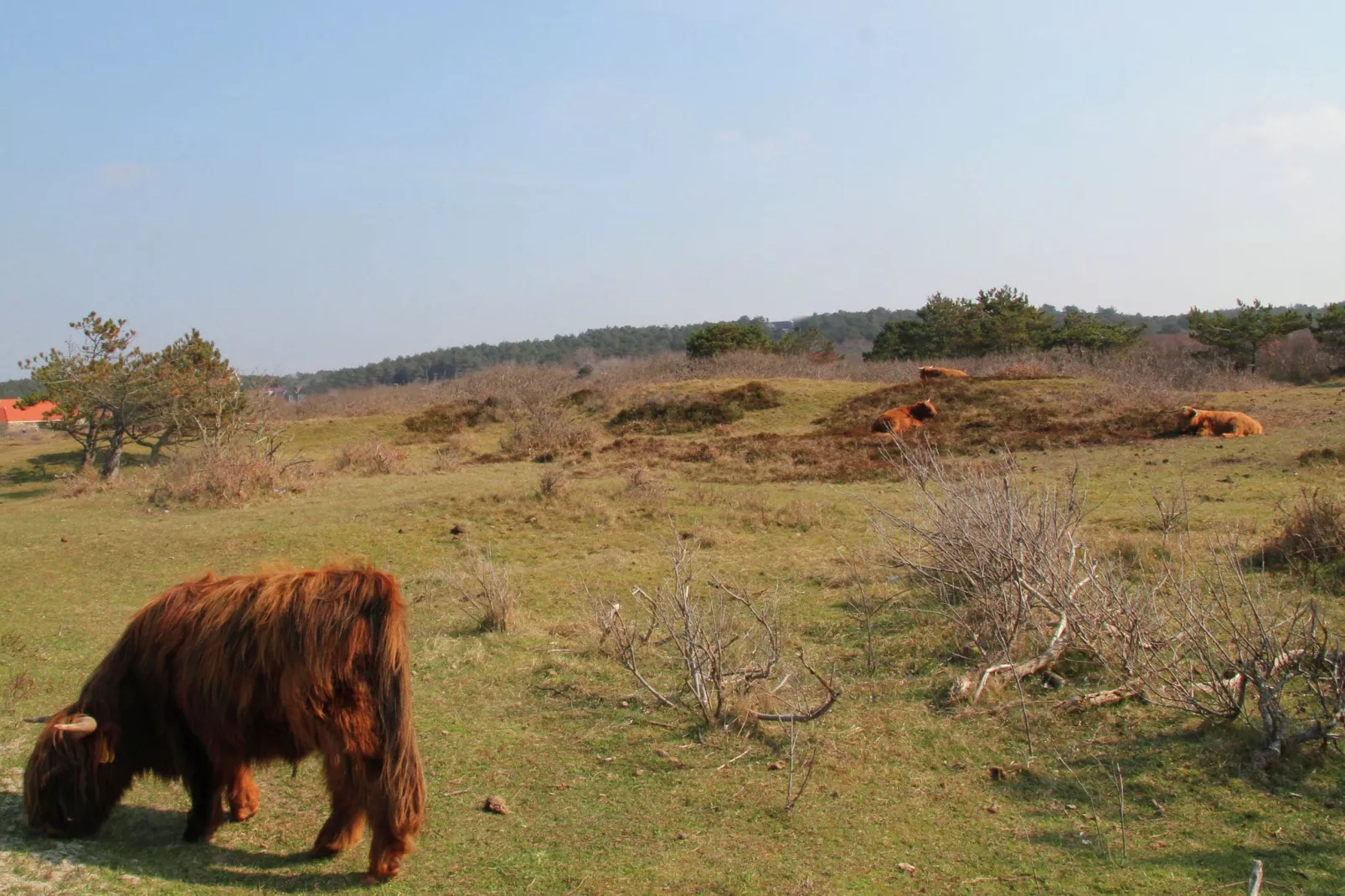 Sea Lodges Zandvoort 9-Areas summer 5km