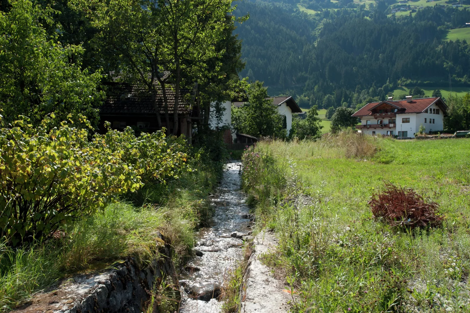 Lanthaler-Areas summer 5km