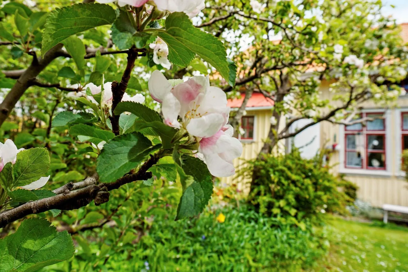 2 person holiday home in LYSEKIL-Outdoor