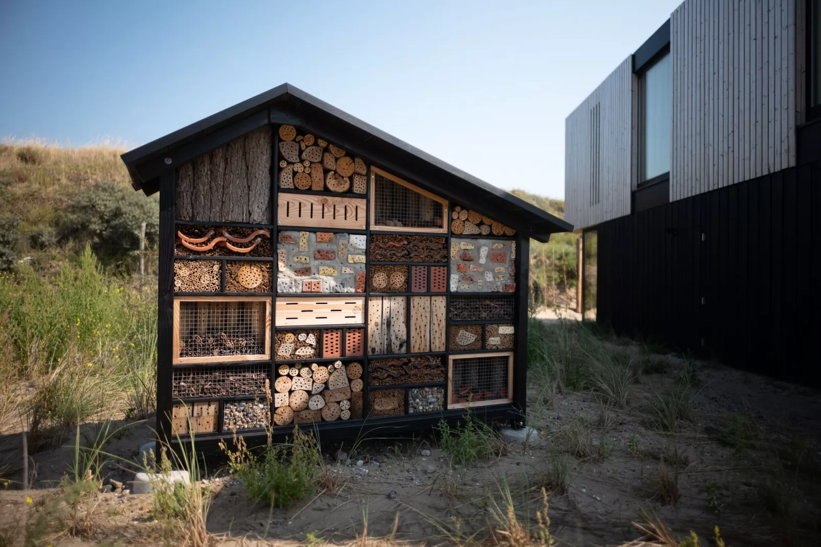 Sea Lodges Zandvoort 5-Park facilities