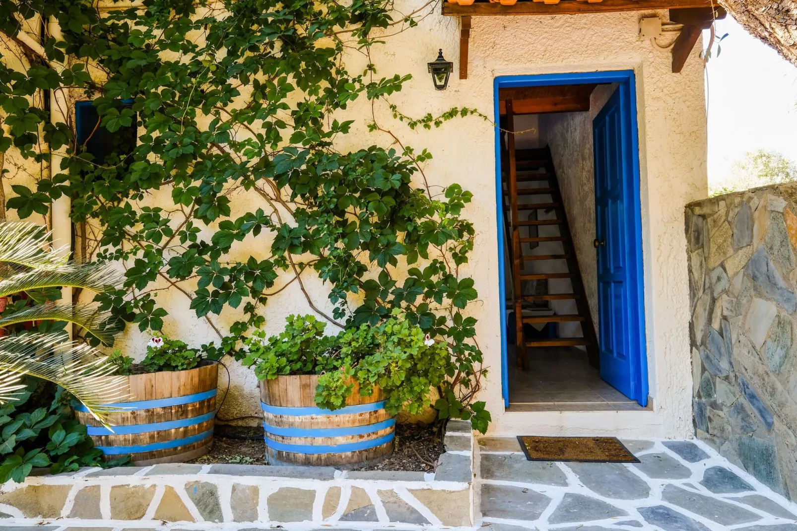 Olive Tree Cottage No 5-Reception hall