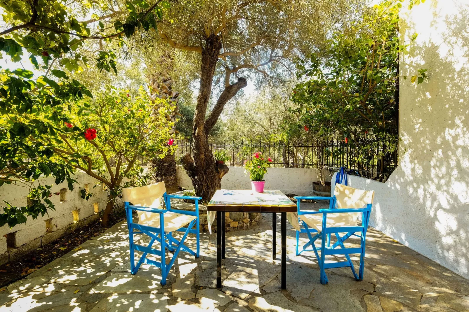 Olive Tree Cottage No 2-Gardens summer