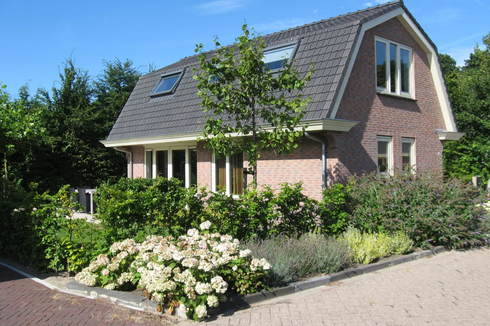 Vakantiepark Duinrust 1-Exterior summer