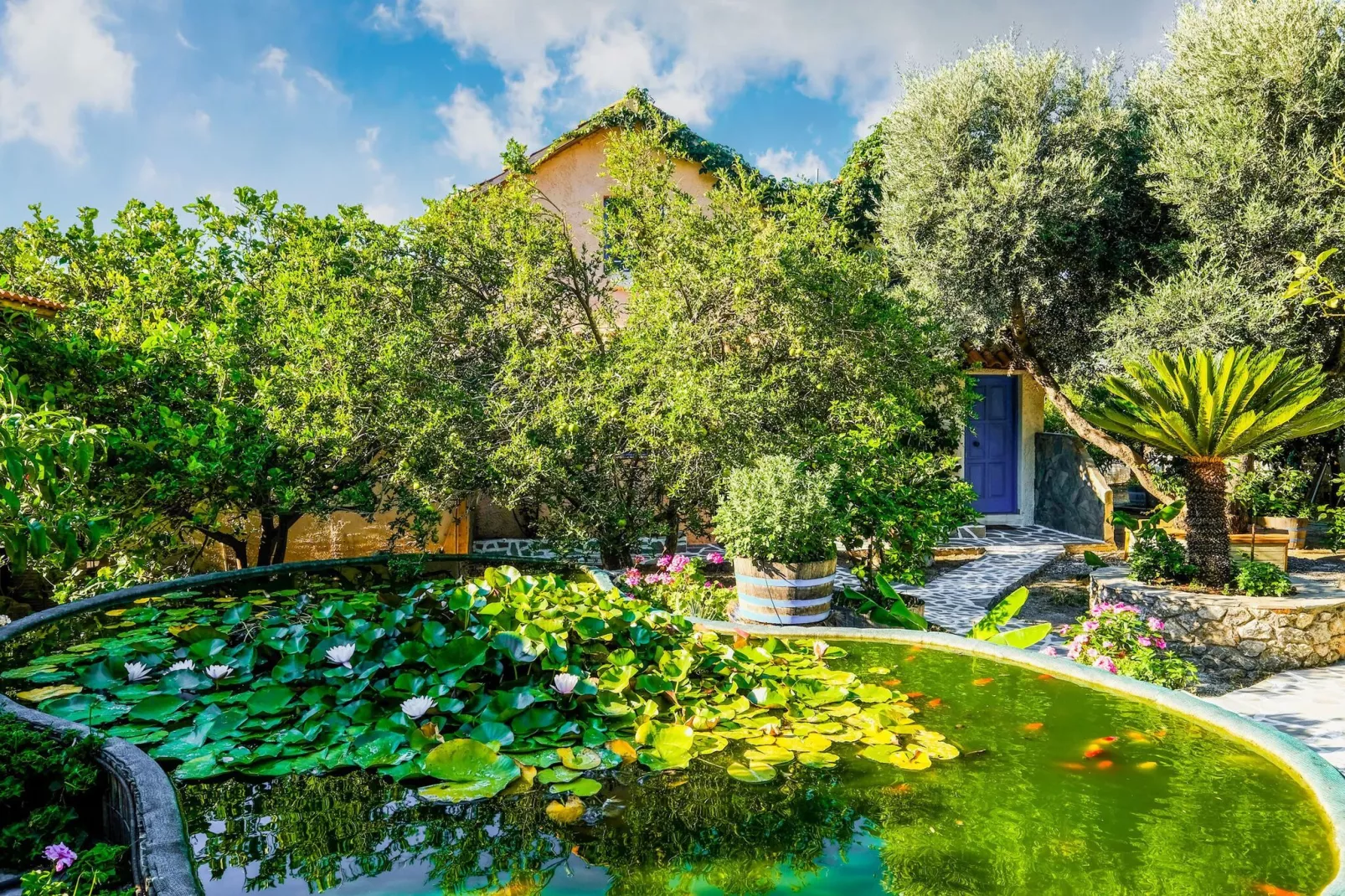 Olive Tree Cottage No 2-Gardens summer