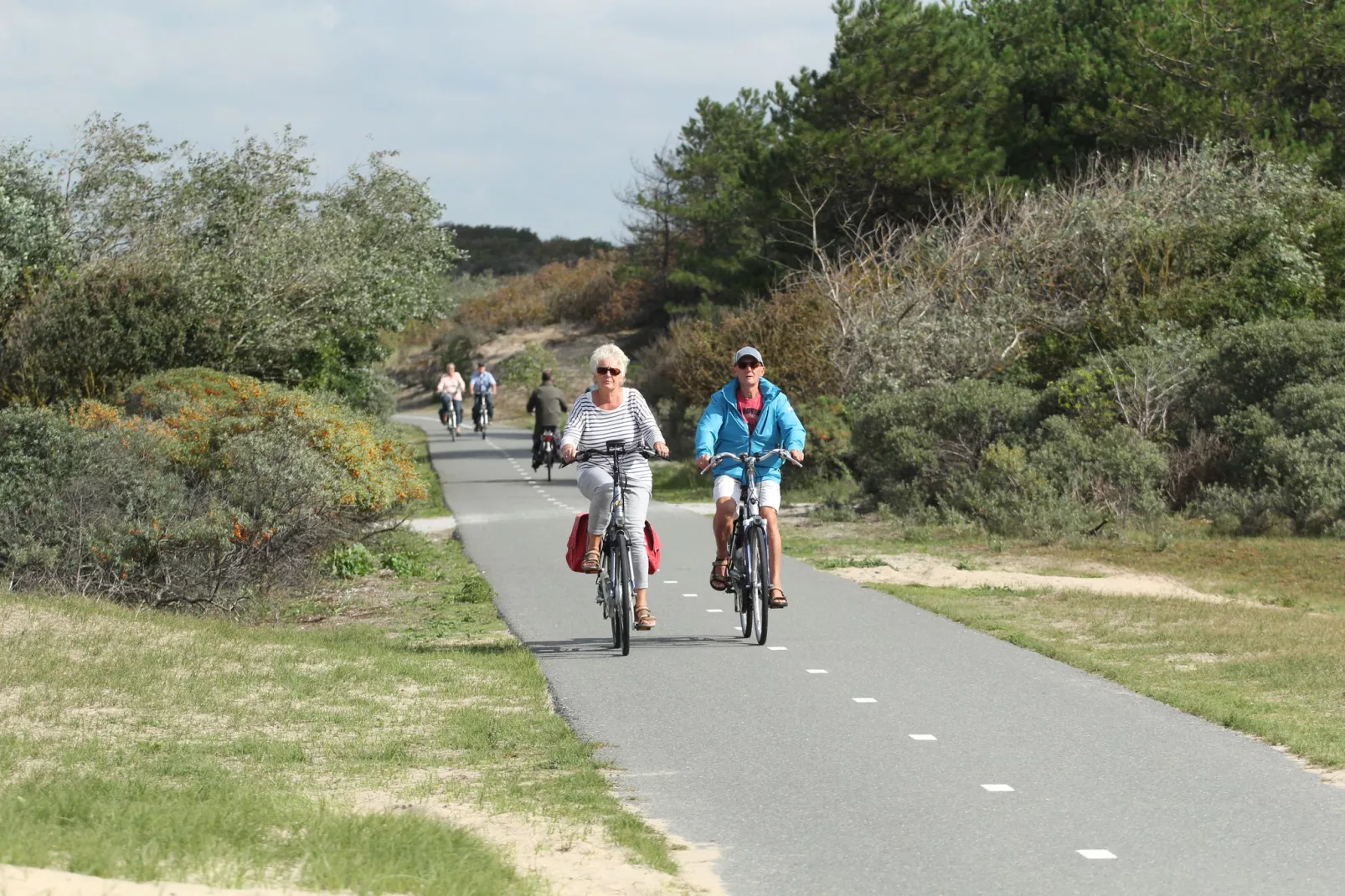 Vakantiepark Duinrust 1-Area winter 5km