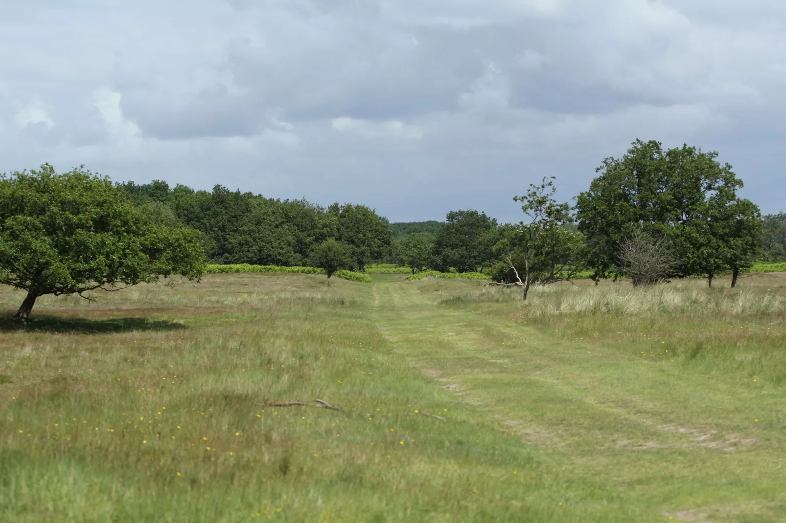 Vakantiepark Duinrust 1-Areas summer 20km