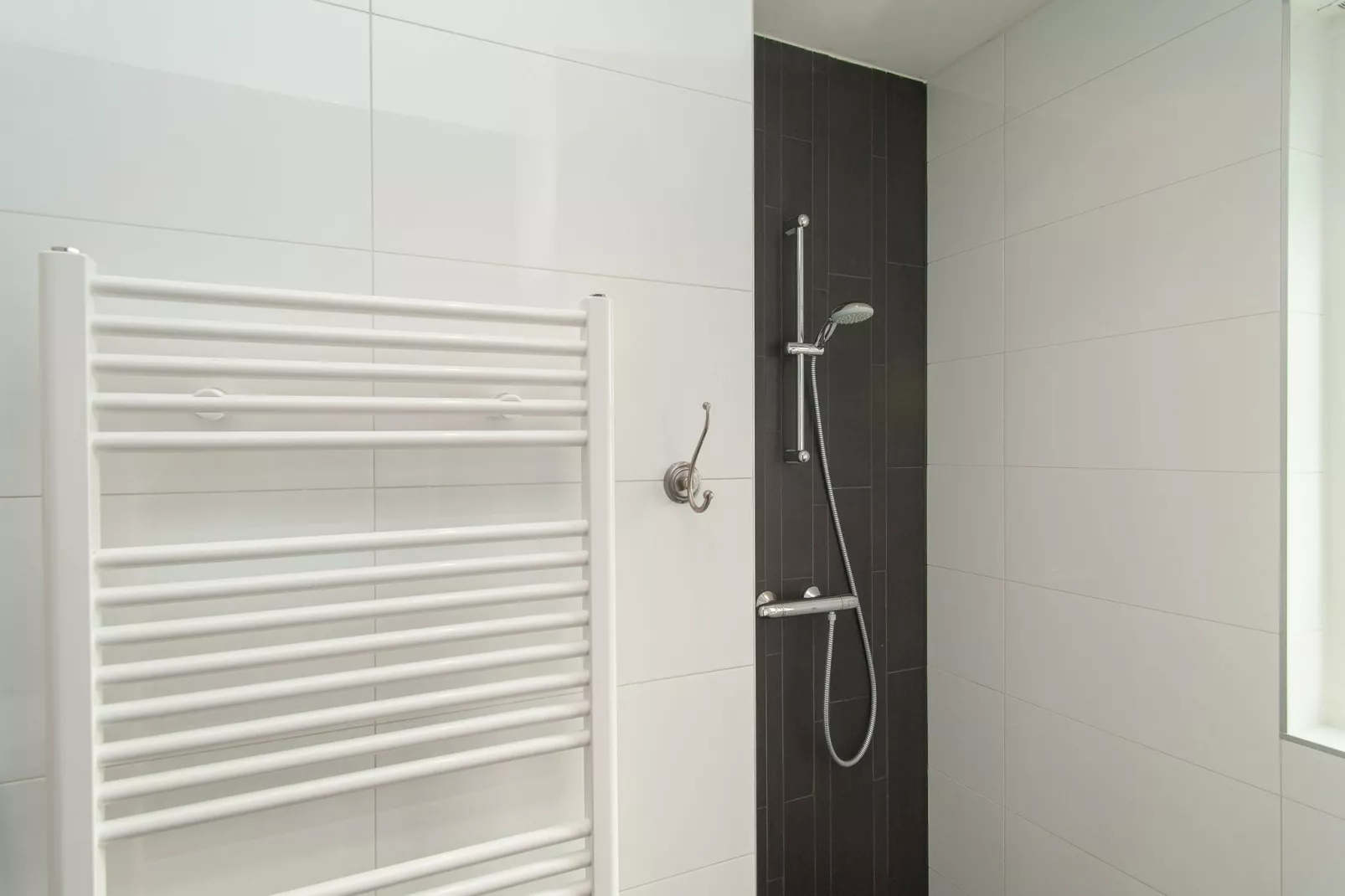 Bungalowpark de Gouden Spar 3-Bathroom