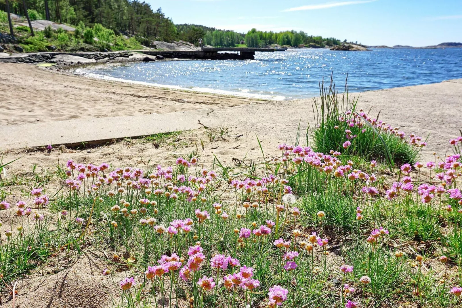 5 person holiday home in STRÖMSTAD-View