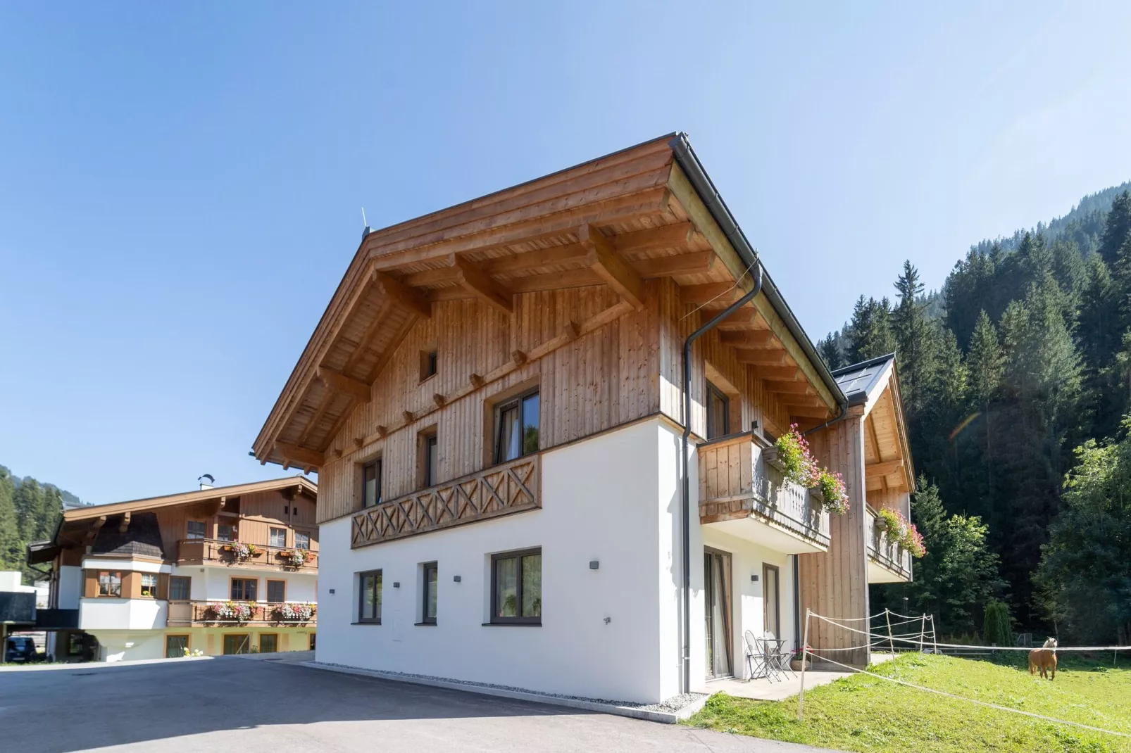 Saalach Appartement 7-Exterior summer